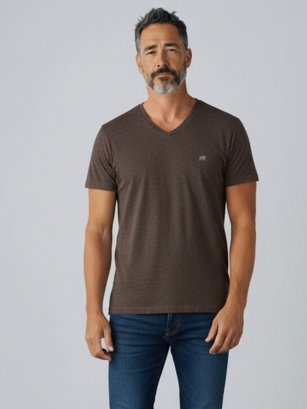 Banana Republic Mens Brown V-Neck Tee